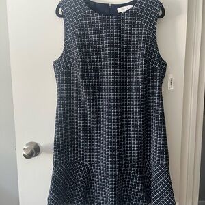 NWT Lark & Ro Navy and White Grid Sleeveless Shift Dress